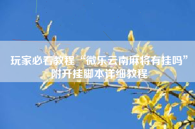 玩家必看教程“微乐云南麻将有挂吗”附开挂脚本详细教程