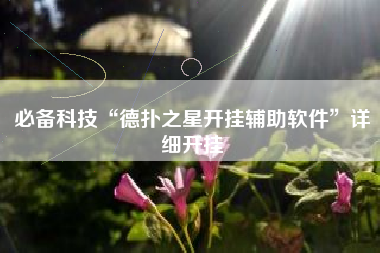 必备科技“德扑之星开挂辅助软件	”详细开挂