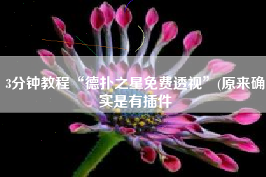 3分钟教程“德扑之星免费透视”(原来确实是有插件