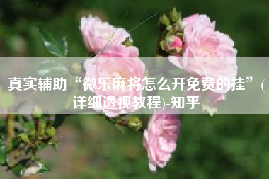 真实辅助“微乐麻将怎么开免费的挂”(详细透视教程)-知乎