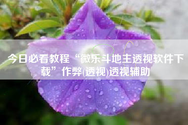 今日必看教程“微乐斗地主透视软件下载	”作弊(透视)透视辅助