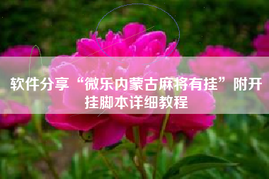 软件分享“微乐内蒙古麻将有挂”附开挂脚本详细教程