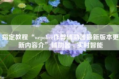 指定教程“wepoker作弊辅助器最新版本更新内容介	”辅助器 - 实时智能