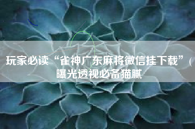 玩家必读“雀神广东麻将微信挂下载”(曝光透视必备猫腻
