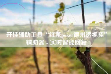 开挂辅助工具“红龙poker德州透视挂	”辅助器 - 实时智能回复