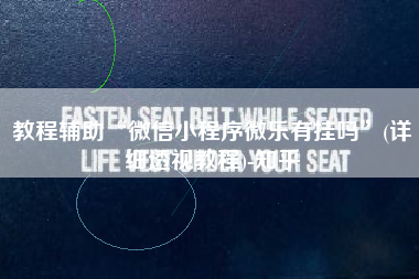 教程辅助“微信小程序微乐有挂吗”(详细透视教程)-知乎