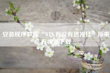 安装程序教程“WPK有没有透视挂”原来有神器下载