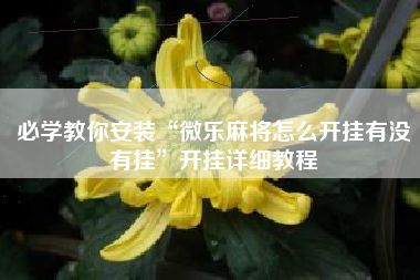 必学教你安装“微乐麻将怎么开挂有没有挂”开挂详细教程