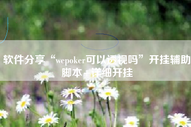 软件分享“wepoker可以透视吗	”开挂辅助脚本+详细开挂