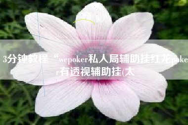 3分钟教程“wepoker私人局辅助挂红龙poker有透视辅助挂(太
