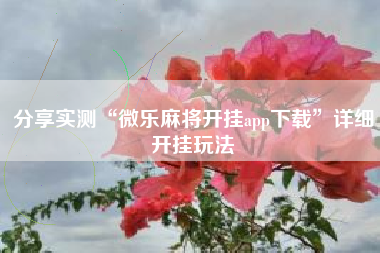 分享实测“微乐麻将开挂app下载	”详细开挂玩法