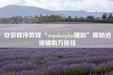 安装程序教程“wepokerplus辅助”揭秘透视辅助万能挂