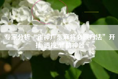 专家分析“雀神广东麻将必赢方法”开挂(透视)辅助神器