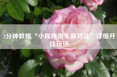 3分钟教程“小程序微乐麻将挂	”详细开挂玩法