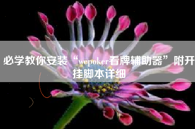 必学教你安装“wepoker看牌辅助器	”附开挂脚本详细