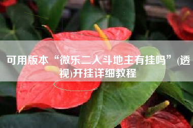 可用版本“微乐二人斗地主有挂吗”(透视)开挂详细教程