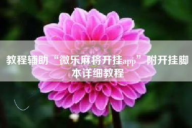 教程辅助“微乐麻将开挂app	”附开挂脚本详细教程