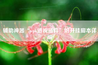 辅助神器“wpk透视插件”附开挂脚本详细