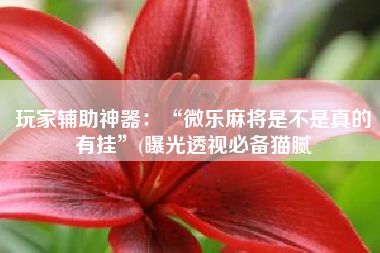 玩家辅助神器：“微乐麻将是不是真的有挂”(曝光透视必备猫腻