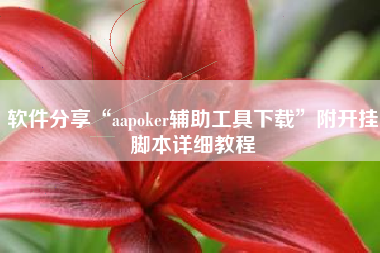 软件分享“aapoker辅助工具下载	”附开挂脚本详细教程