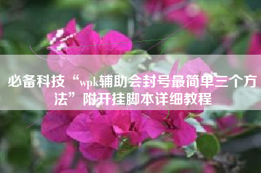 必备科技“wpk辅助会封号最简单三个方法”附开挂脚本详细教程