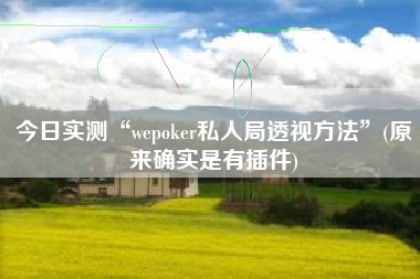今日实测“wepoker私人局透视方法	”(原来确实是有插件)