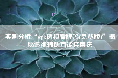 实测分析“wpk透视看牌器(免费版)”揭秘透视辅助万能挂用法