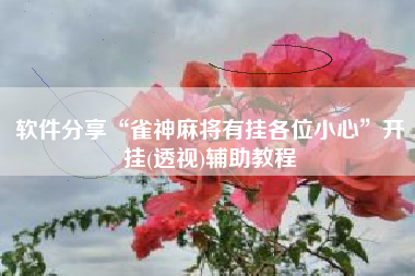 软件分享“雀神麻将有挂各位小心”开挂(透视)辅助教程