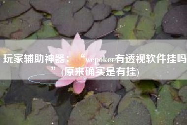 玩家辅助神器：“wepoker有透视软件挂吗	”(原来确实是有挂)