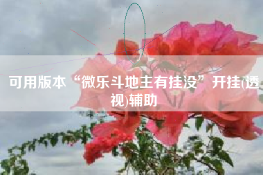 可用版本“微乐斗地主有挂没”开挂(透视)辅助
