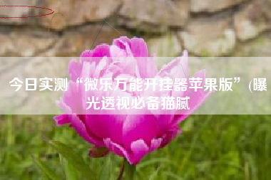 今日实测“微乐万能开挂器苹果版	”(曝光透视必备猫腻