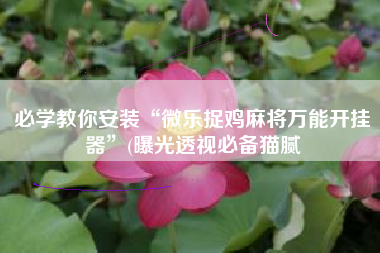 必学教你安装“微乐捉鸡麻将万能开挂器”(曝光透视必备猫腻