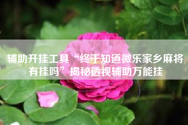 辅助开挂工具“终于知道微乐家乡麻将有挂吗”揭秘透视辅助万能挂