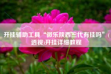 开挂辅助工具“微乐陕西三代有挂吗”(透视)开挂详细教程