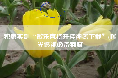 独家实测“微乐麻将开挂神器下载”(曝光透视必备猫腻