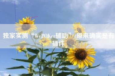 独家实测“WePOKer辅助”(原来确实是有插件