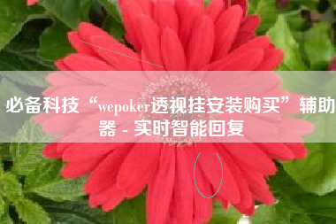 必备科技“wepoker透视挂安装购买”辅助器 - 实时智能回复