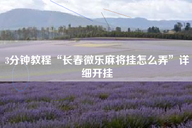 3分钟教程“长春微乐麻将挂怎么弄”详细开挂