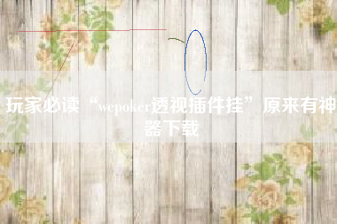 玩家必读“wepoker透视插件挂”原来有神器下载