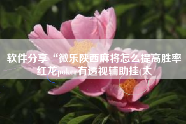 软件分享“微乐陕西麻将怎么提高胜率红龙poker有透视辅助挂(太