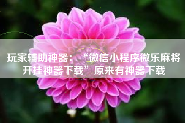 玩家辅助神器：“微信小程序微乐麻将开挂神器下载”原来有神器下载