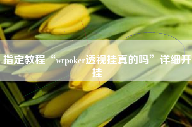 指定教程“wrpoker透视挂真的吗”详细开挂