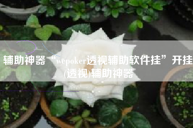 辅助神器“wepoker透视辅助软件挂”开挂(透视)辅助神器