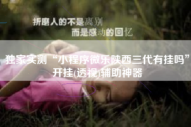 独家实测“小程序微乐陕西三代有挂吗	”开挂(透视)辅助神器