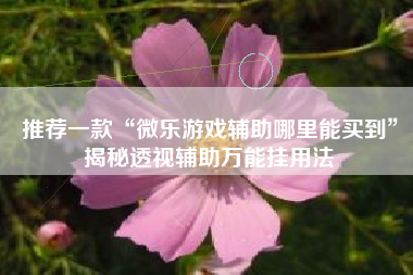 推荐一款“微乐游戏辅助哪里能买到”揭秘透视辅助万能挂用法