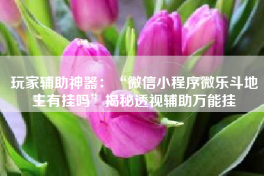 玩家辅助神器：“微信小程序微乐斗地主有挂吗	”揭秘透视辅助万能挂