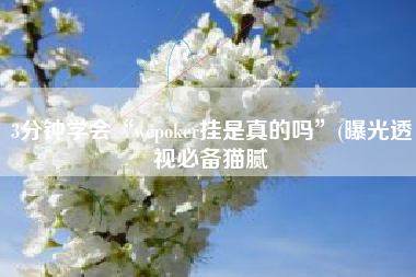 3分钟学会“wepoker挂是真的吗”(曝光透视必备猫腻