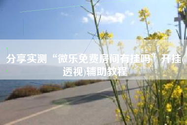 分享实测“微乐免费房间有挂吗”开挂(透视)辅助教程