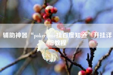 辅助神器“pokertime挂百度知道”开挂详细教程