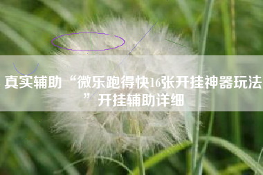 真实辅助“微乐跑得快16张开挂神器玩法”开挂辅助详细